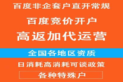 搜索引擎营销（SEM）在电商行业的投放策略案例